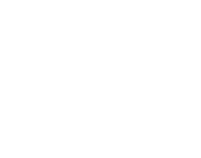 WiFi Icon